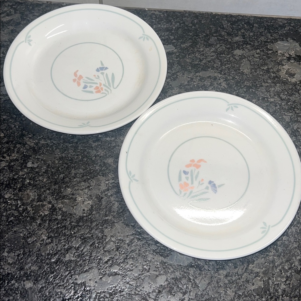 2 Salad plates. STENCIL GARDEN BY CORELLE. RETIRED/DISCONTINUED